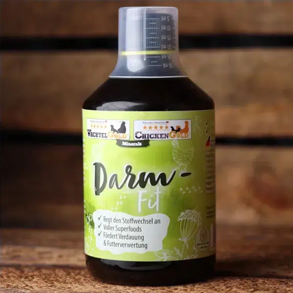 Darm-Fit