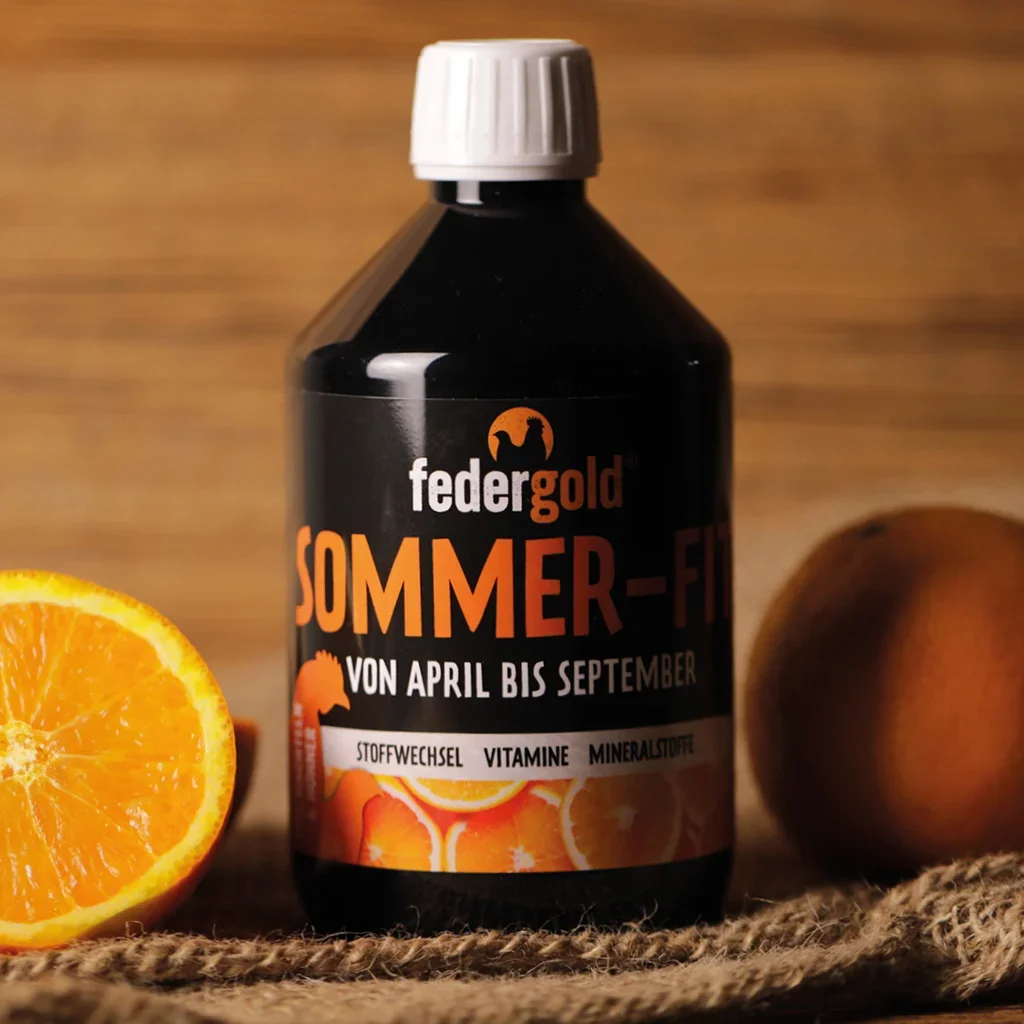 Sommer-Fit