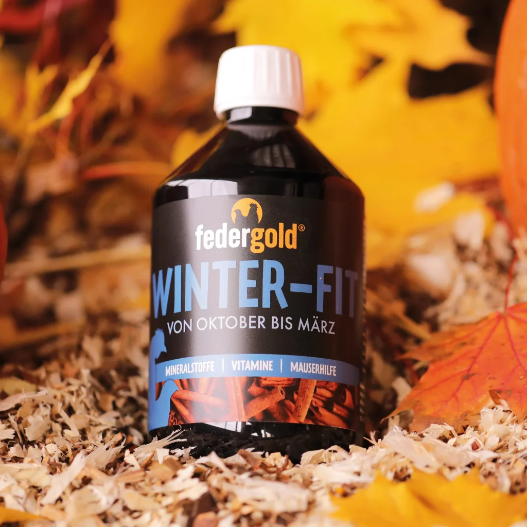Winter-Fit