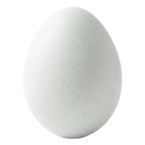 Hønseegg